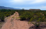 photo thumbnail #5