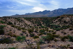 photo thumbnail #6