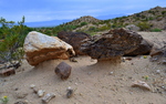 photo thumbnail #12