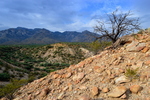 photo thumbnail #13