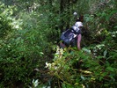 photo thumbnail #9