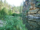 photo thumbnail #7