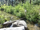 photo thumbnail #12