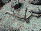 photo thumbnail #13