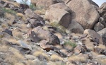 photo thumbnail #7