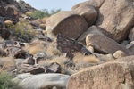 photo thumbnail #9
