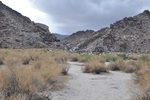 photo thumbnail #14