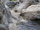 photo thumbnail #14