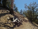 photo thumbnail #2
