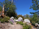 photo thumbnail #6