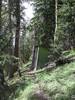 photo thumbnail #10