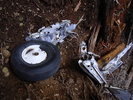 photo thumbnail #13
