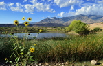 photo thumbnail #5