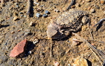photo thumbnail #10