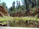 photo thumbnail #12
