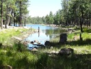 photo thumbnail #13