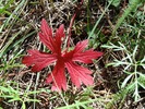 photo thumbnail #14
