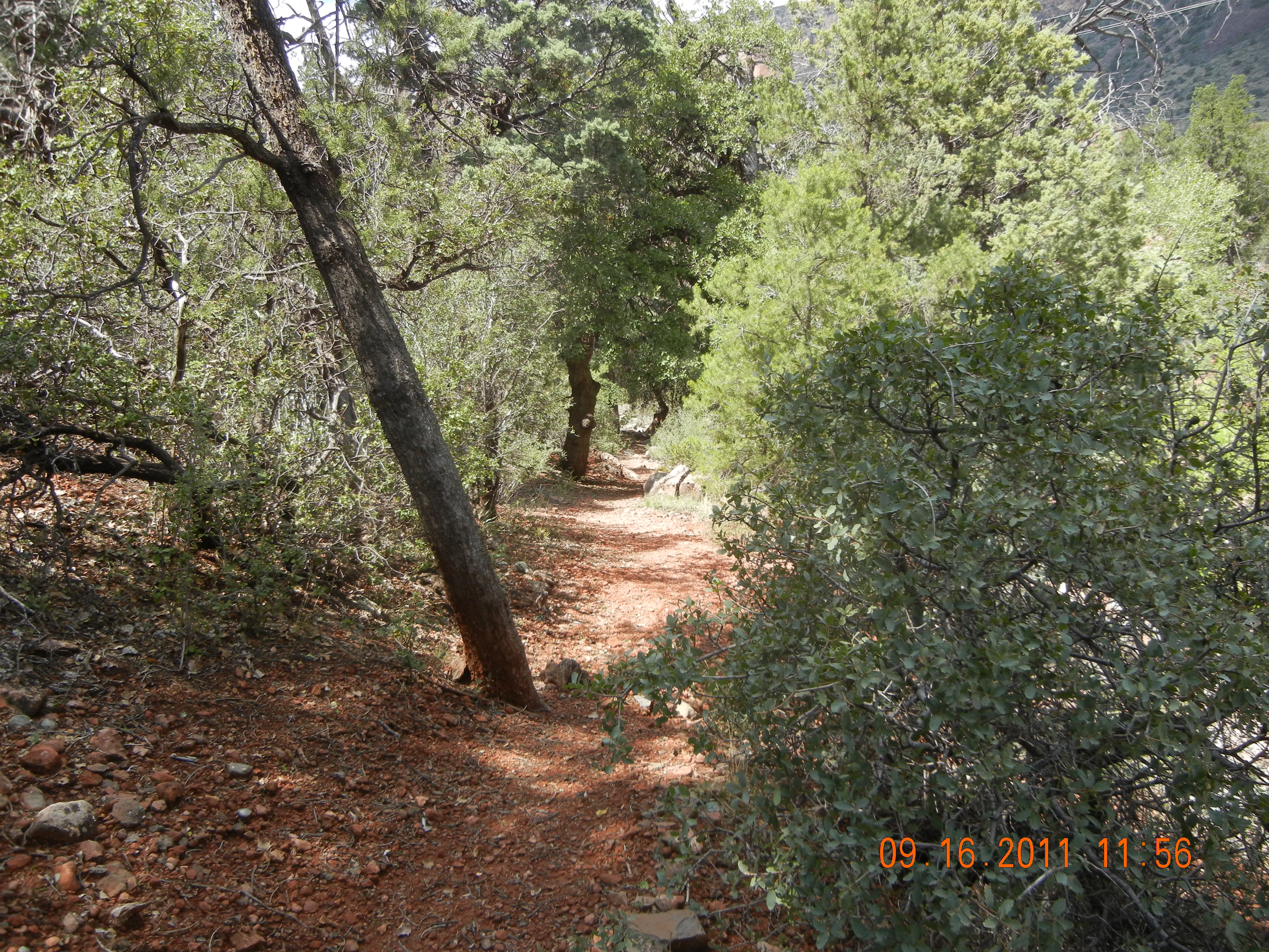 Casner Canyon Trail #11, AZ | HikeArizona