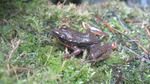photo thumbnail #4
