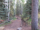 photo thumbnail #6