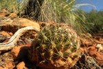 photo thumbnail #10