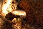 photo thumbnail #11