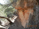 photo thumbnail #5