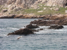 photo thumbnail #5