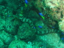 photo thumbnail #8