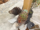 photo thumbnail #9