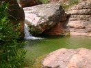 Featured Detail Photo