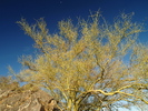 photo thumbnail #3