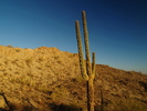photo thumbnail #4