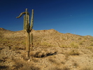 photo thumbnail #8