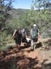 photo thumbnail #5