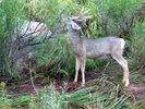 photo thumbnail #11