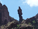 photo thumbnail #13