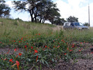 photo thumbnail #11