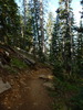 photo thumbnail #2