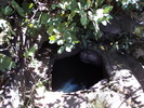 2011-09-18 :2: Club Cabin :: Outlander