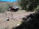 photo thumbnail #11