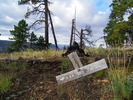 photo thumbnail #1