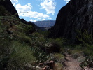 photo thumbnail #14