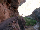 photo thumbnail #10