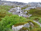 photo thumbnail #6