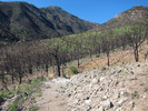 photo thumbnail #3