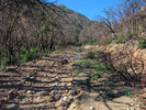 photo thumbnail #6