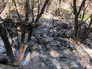 photo thumbnail #9
