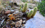 photo thumbnail #9