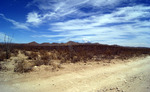 photo thumbnail #6